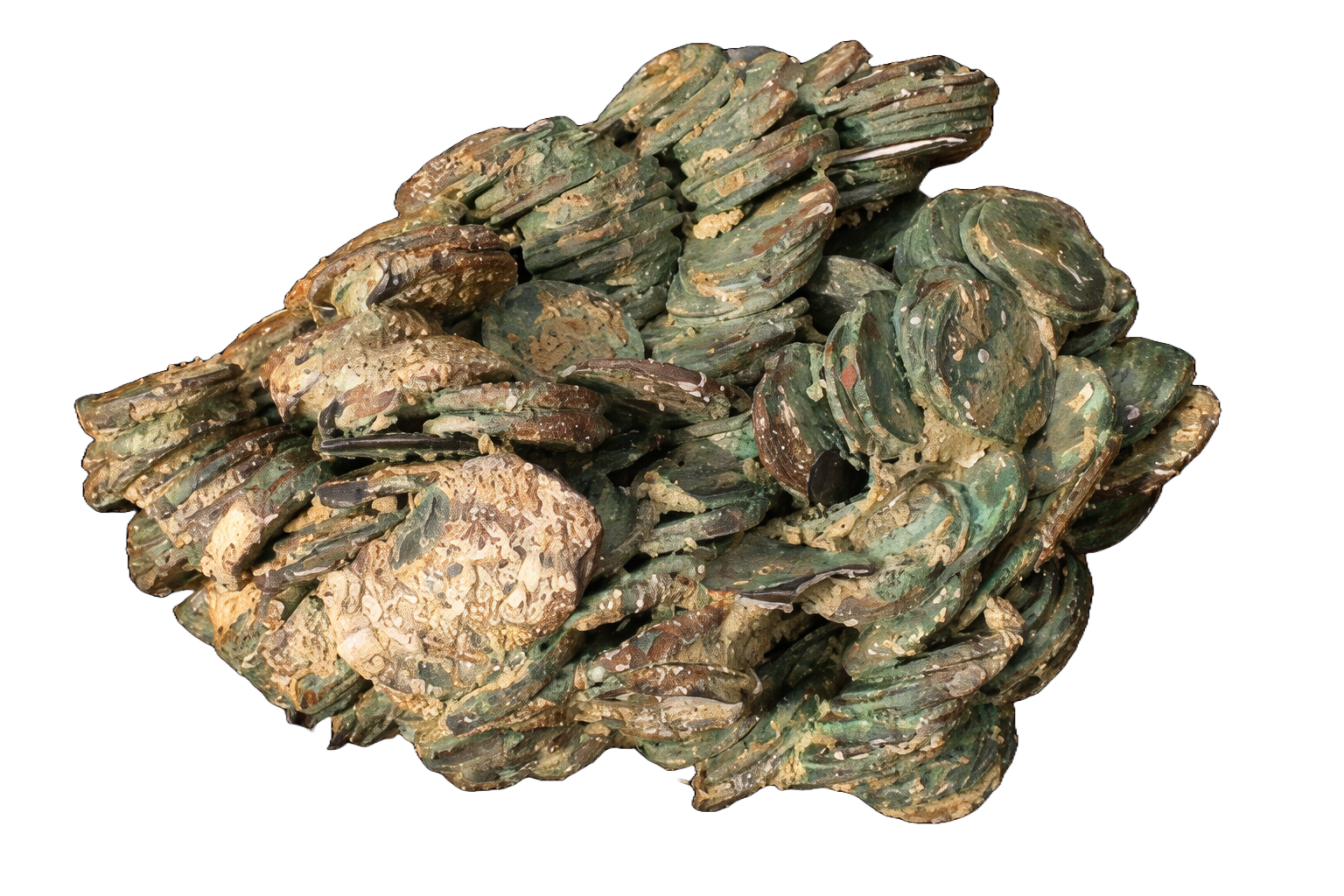 Corroded silver coin concretion